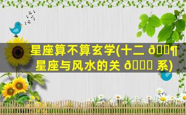 星座算不算玄学(十二 🐶 星座与风水的关 🐅 系)